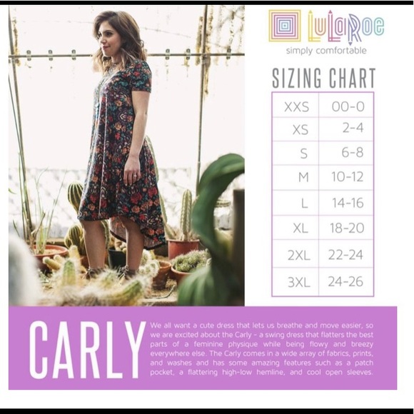 Lularoe Carly dress - Picture 3 of 3